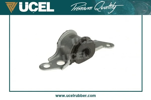 Mounting, control/trailing arm