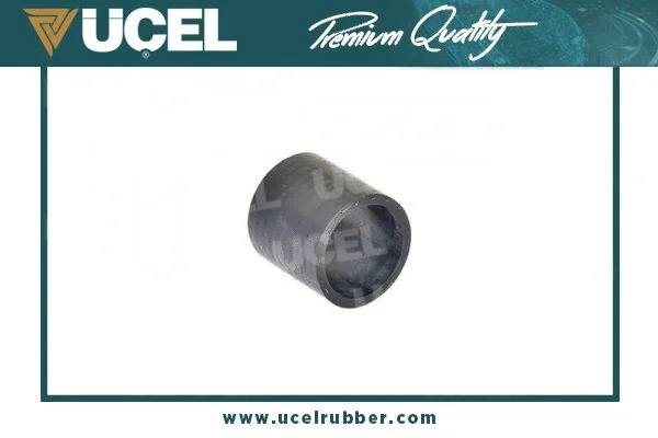 Charge Air Hose (65381)