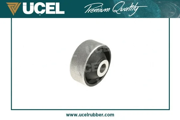 Mounting, control/trailing arm