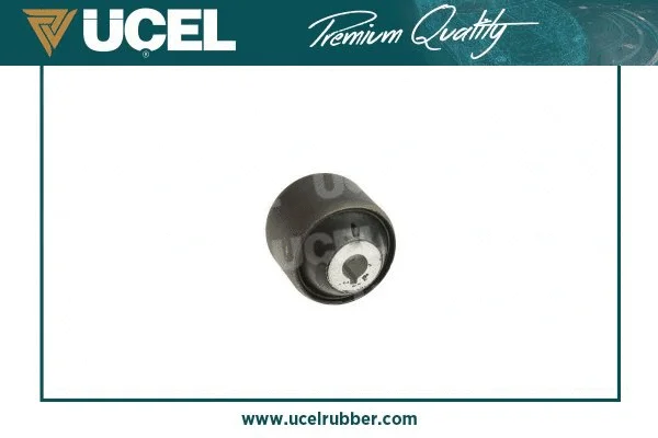 Mounting, control/trailing arm
