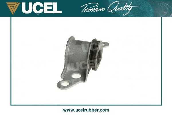 Mounting, control/trailing arm
