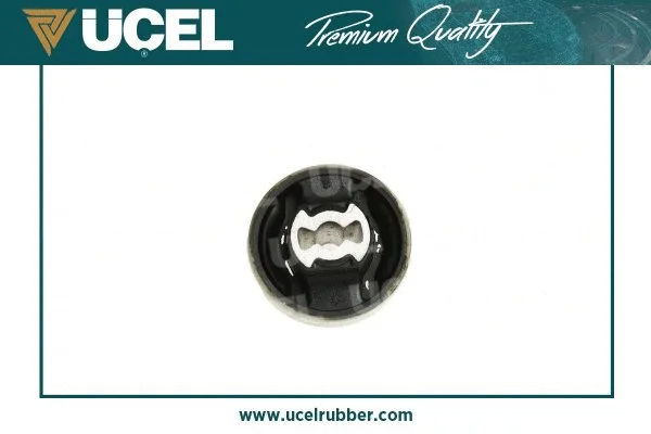 Mounting, control/trailing arm
