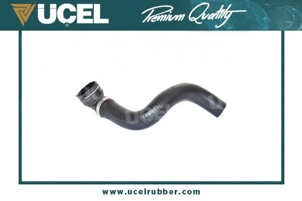Radiator Hose (35732)