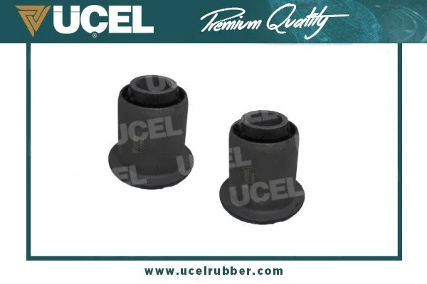 Mounting, control/trailing arm (10864)