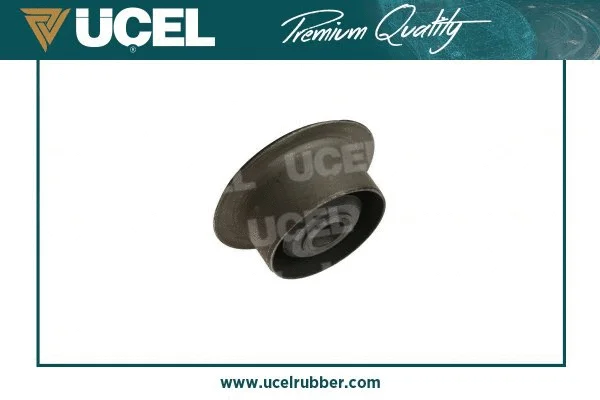 Bushing, leaf spring
