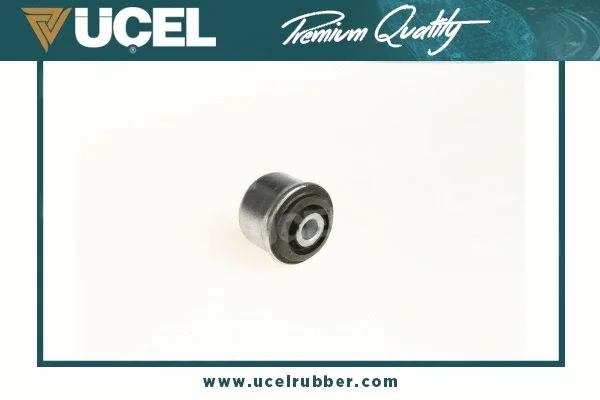 Mounting, control/trailing arm