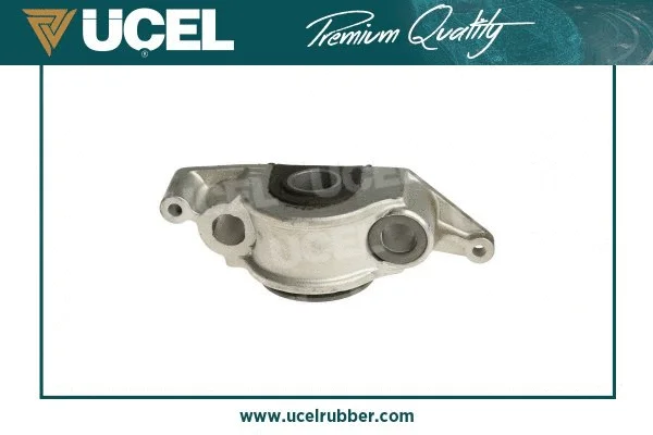 Mounting, control/trailing arm