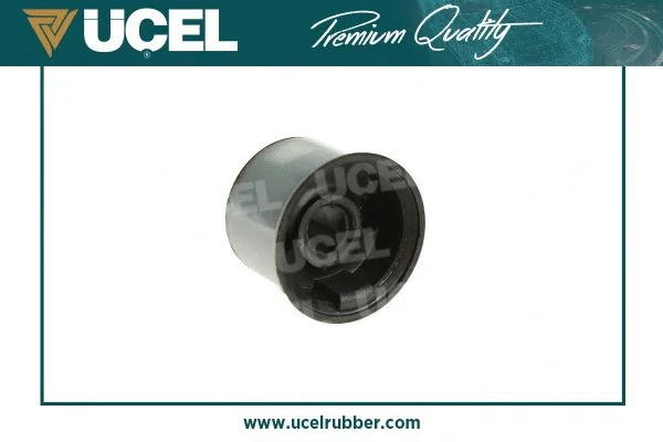 Mounting, control/trailing arm