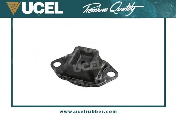 Mounting, engine (10777)