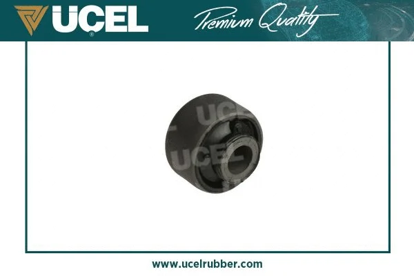 Mounting, control/trailing arm