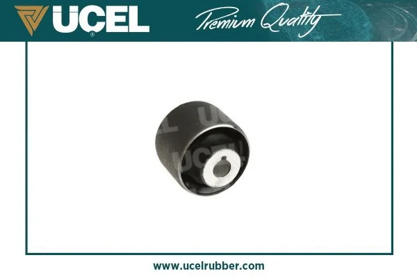 Mounting, control/trailing arm