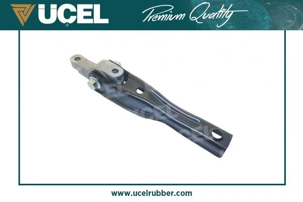 Holder, engine mounting system