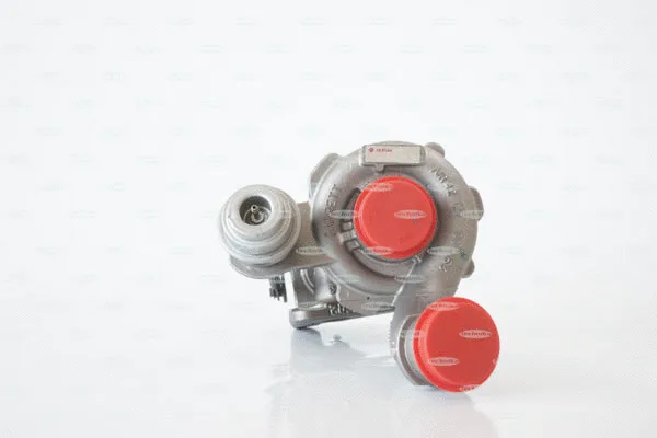 Charger, charging (supercharged/turbocharged) (TKA113TG)