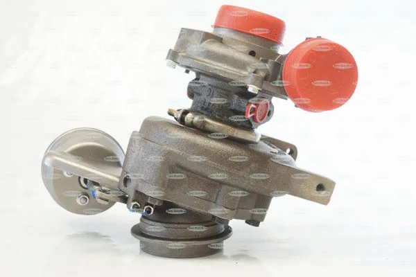 Charger, charging (supercharged/turbocharged)