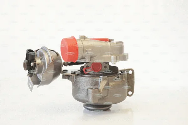 Charger, charging (supercharged/turbocharged)