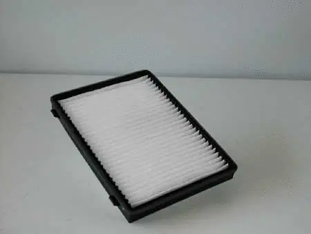 Filter, cabin air (777317)