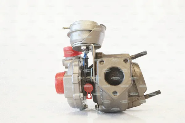 Charger, charging (supercharged/turbocharged) (TKA176TG)