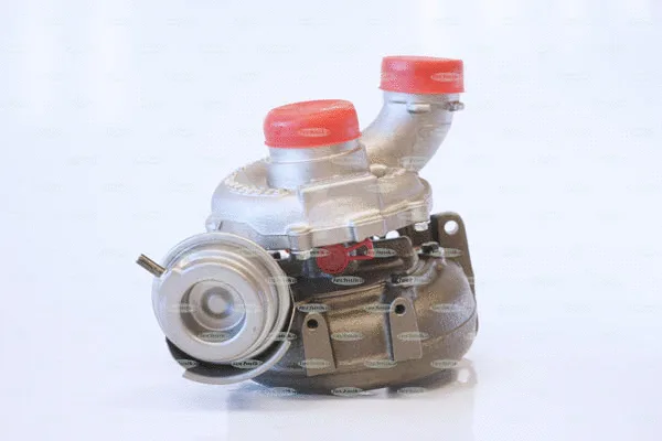 Charger, charging (supercharged/turbocharged) (TKA153TG)