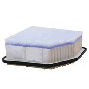 Air Filter (776078)