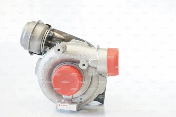 Charger, charging (supercharged/turbocharged) (TKA167TG)