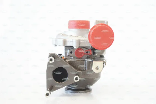 Charger, charging (supercharged/turbocharged) (TKA138TG)