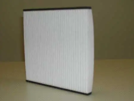 Filter, cabin air (777299)