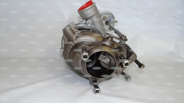 Charger, charging (supercharged/turbocharged)