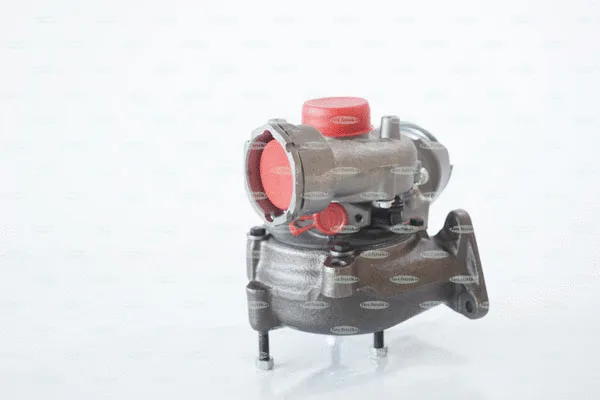 Charger, charging (supercharged/turbocharged) (TKA106TG)