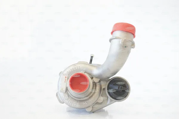 Charger, charging (supercharged/turbocharged) (TKA174TG)