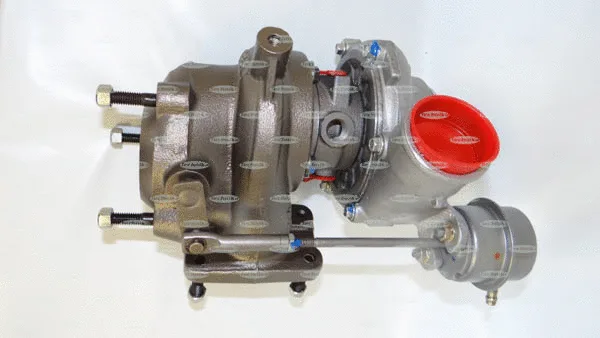 Charger, charging (supercharged/turbocharged)