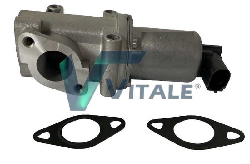 EGR Valve (FI752480)