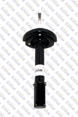 Shock Absorber (545873G)