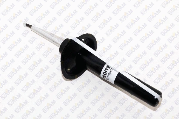 Shock Absorber (545796)