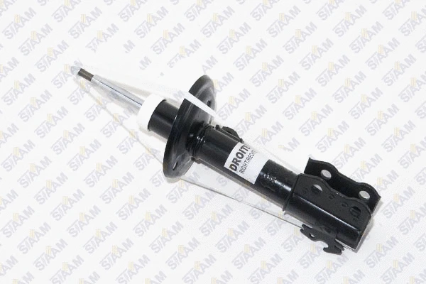 Shock Absorber (545756)