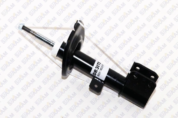 Shock Absorber (545838G)