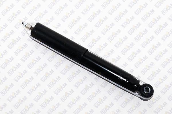 Shock Absorber (255741G)
