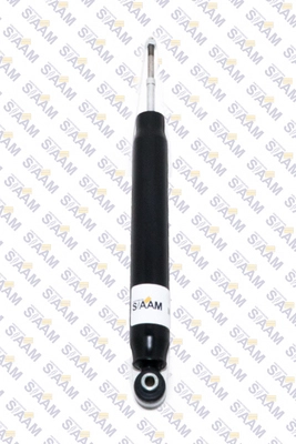Shock Absorber (255317G)