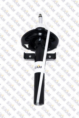 Shock Absorber (545713G)