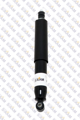 Shock Absorber (245112G)