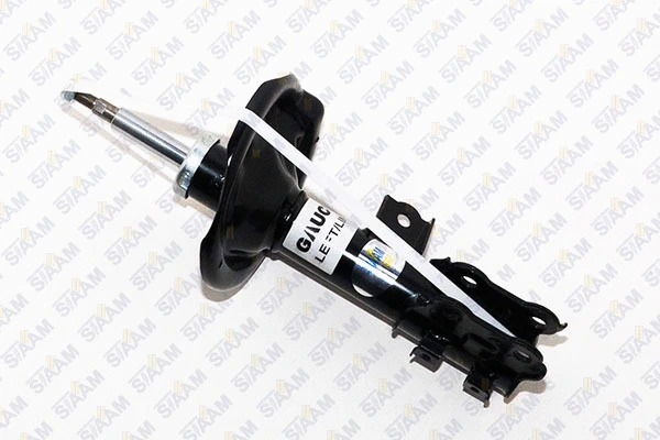 Shock Absorber (545829G)