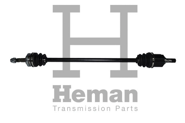 Drive Shaft (TD76170)