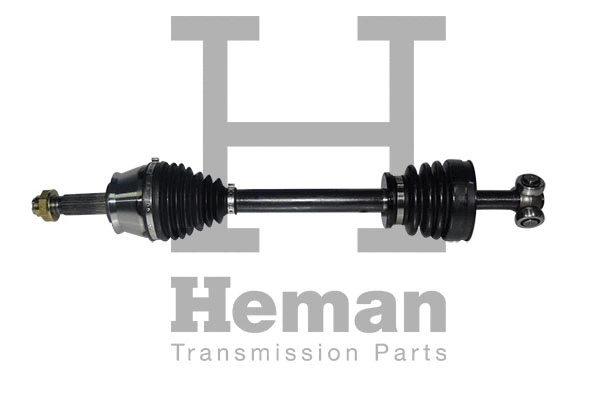 Drive Shaft (TD77730)