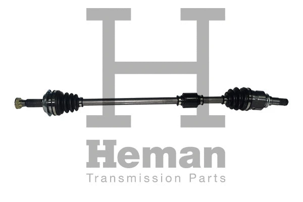 Drive Shaft (TD77980)