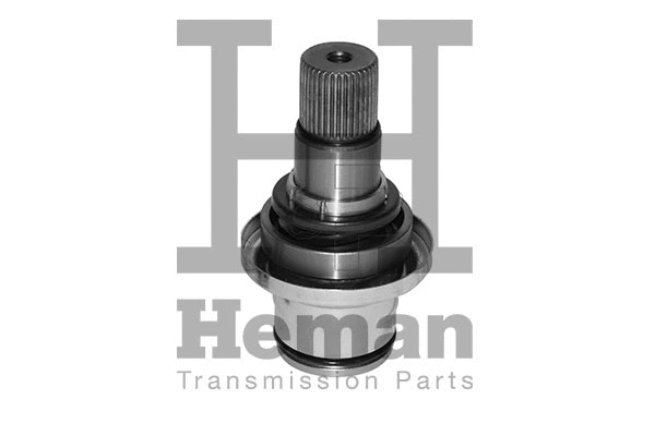 Stub Axle, differential (TT10010)