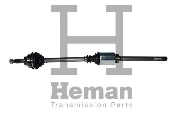 Drive Shaft (TD71570)