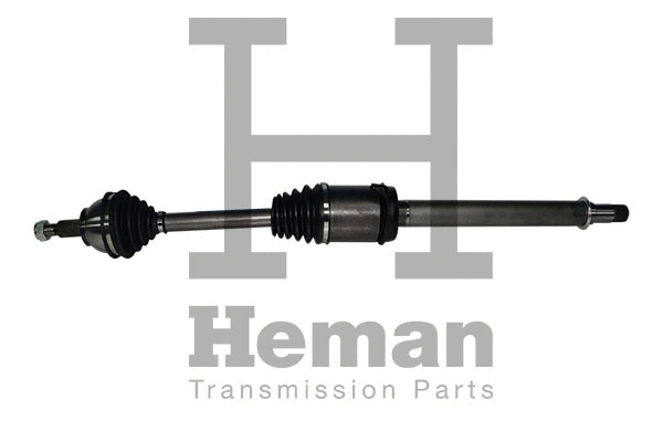 Drive Shaft (TD73970)