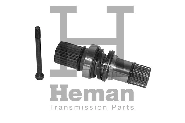 Stub Axle, differential (TT10008)