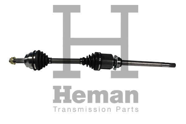 Drive Shaft (TD77870)