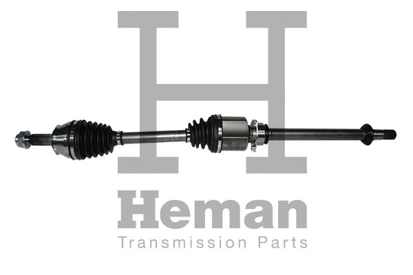 Drive Shaft (TD73810)