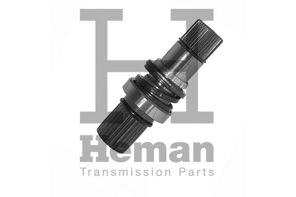 Stub Axle, differential (TT10006)